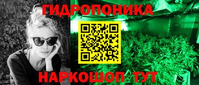 тгк Боровичи